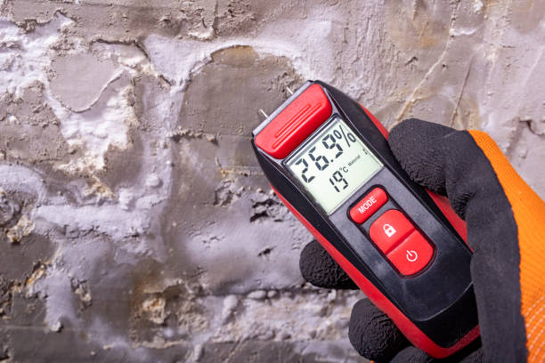 Rockford, IL Mold Remediation Company